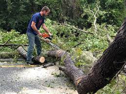Best Storm Damage Tree Cleanup  in Hobart, WA